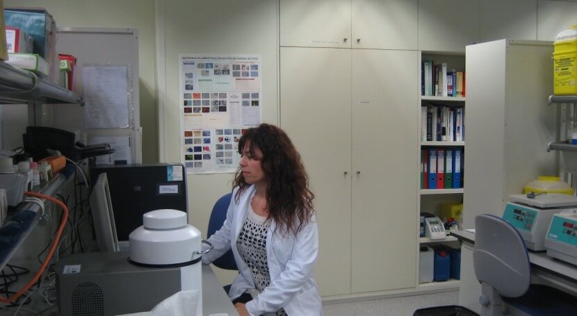 El IIAMA desarrolla un protocolo que detecta tres especies de legionella en ocho horas