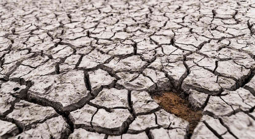 Crear agrupaciones multisectoriales para mejorar la gestión del riesgo ante catástrofes naturales
