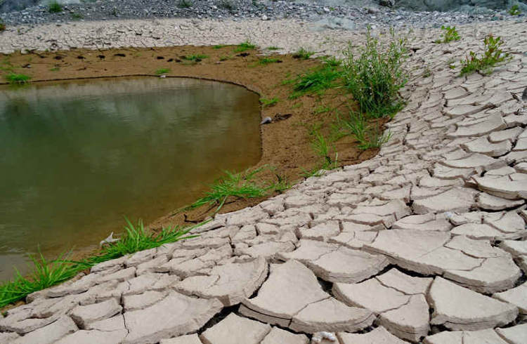 Un enfoque novedoso minimiza el impacto económico de la escasez de agua provocada por la sequía y el cambio climático