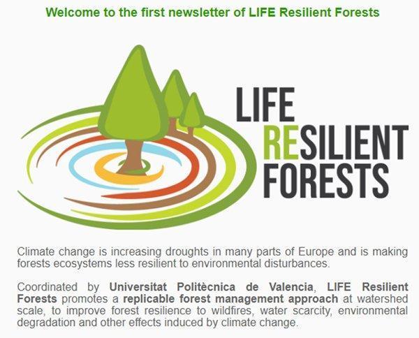 El proyecto LIFE RESILIENT FORESTS publica su primer boletín de noticias