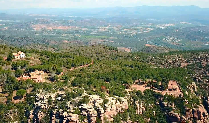 El proyecto LIFE RESILIENT FORESTS presenta sus líneas de actuación en la FAO