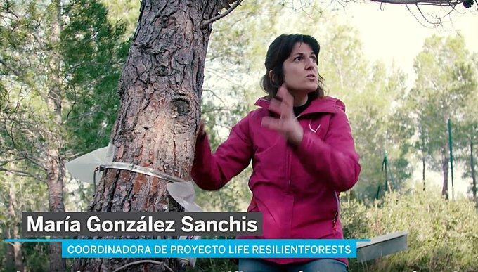 “El País” y “Facebook Watch” realizan un vídeo del proyecto LIFE RESILIENT FORESTS como ejemplo de gestión forestal para combatir el cambio climático
