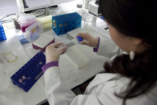 Técnica FISH empleada en el desarrollo de la investigación