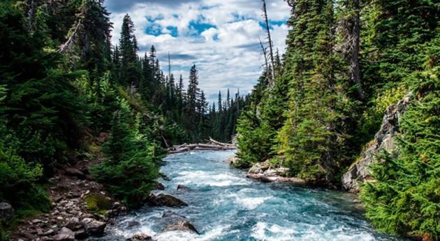 Los métodos de post-procesamiento hidrológico generan predicciones más exactas y fiables