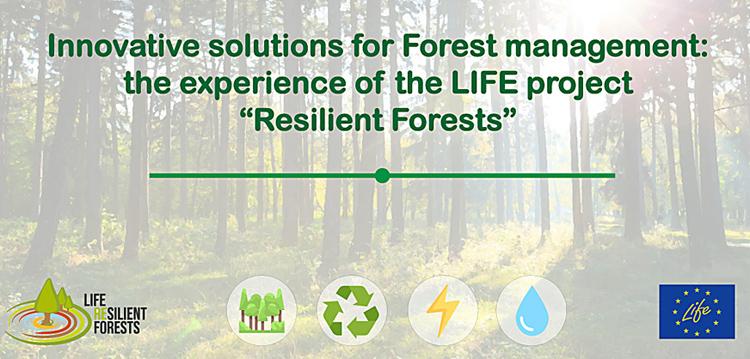El proyecto LIFE RESILIENT FORESTS difunde el webinar sobre el software de gestión forestal, C.A.F.E