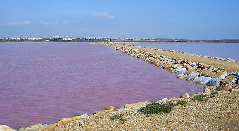 La entrada de aguas de diferente salinidad, principal presión antrópica de «La Mata-Torrevieja»