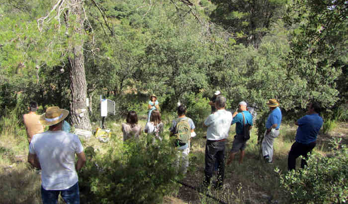 El proyecto RESILIENT FORESTS presenta el software a técnicos de Generalitat Valenciana