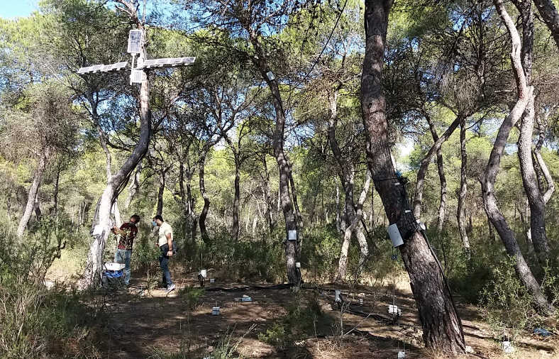 La UPV avanza en el proyecto GUARDIAN para analizar la capacidad de adaptación de la zona al cambio climático