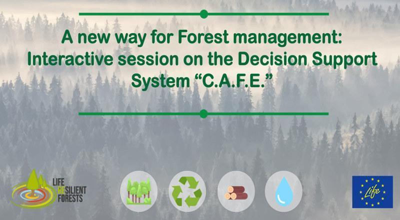 El proyecto LIFE RESILIENT FORESTS difunde el segundo webinar práctico sobre el software, C.A.F.E
