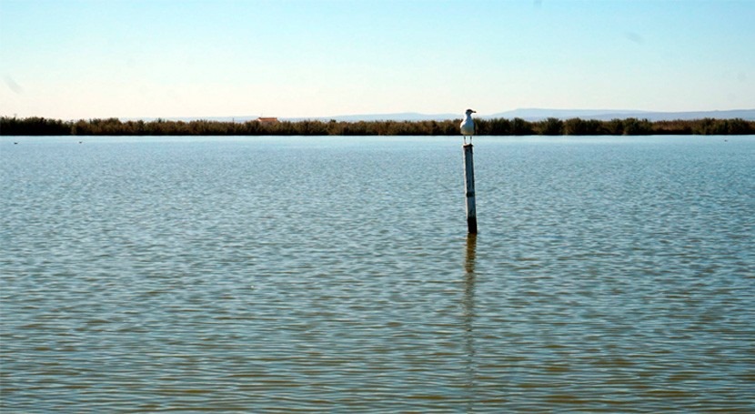 Las actuaciones realizadas en l´Albufera han mejorado su calidad ambiental, aunque todavía queda trabajo por hacer