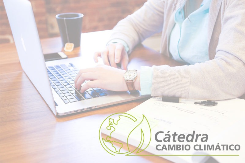 La Cátedra de Cambio Climático convoca 7 becas para la realización de prácticas en la UPV