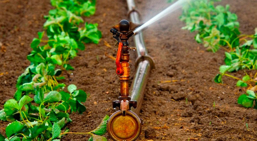 Investigadores del IIAMA desarrollan una nueva técnica para minimizar el tiempo de limpieza de las redes de riego a presión