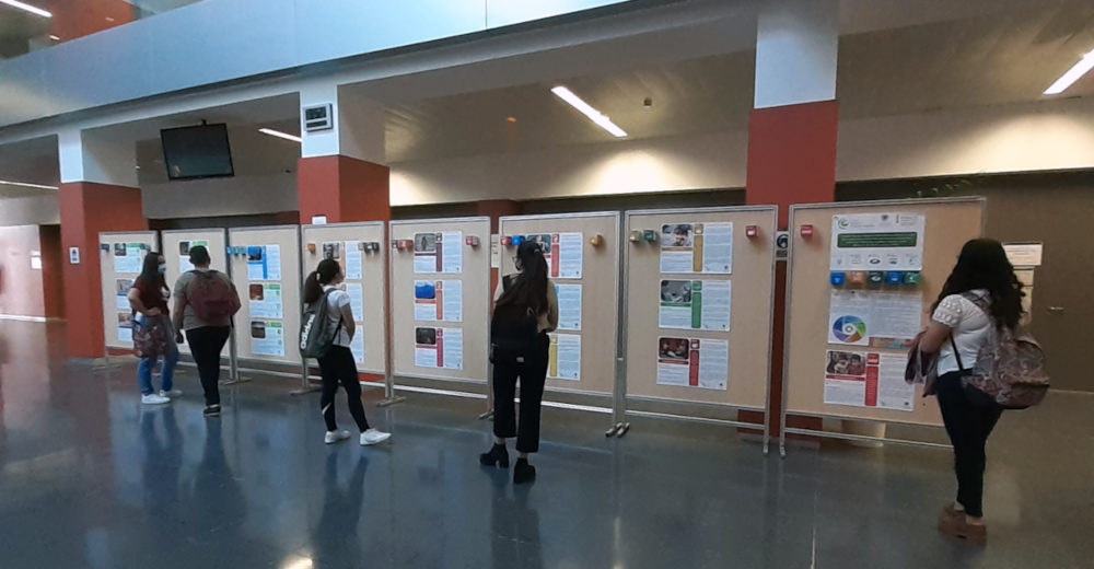 La “Cátedra Planeta y Desarrollo Sostenible” organiza una exposición sobre los ODS en la UPV