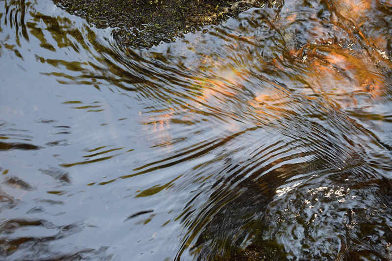 CALAGUA participa en un proyecto para minimizar la presencia de micro y nanoplásticos en el medio natural