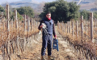Un estudio sobre la escasez de agua en el sureste de España, ganador de los “Premios de la Cátedra de Cambio Climático”