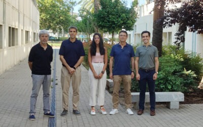 Investigadores del IIAMA desarrollan un marco de gobernanza para impulsar la recarga gestionada de acuíferos en el Mediterráneo