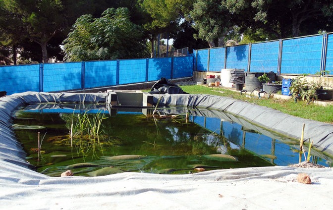 Los primeros resultados muestran una mejora en la calidad del agua, eliminación de contaminantes e impacto positivo en la biodiversidad