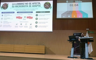 Alexandra Guanuchi, investigadora del IIAMA, galardonada por su estudio sobre eliminación de microplásticos en aguas residuales