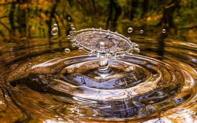 El IIAMA participa en un proyecto para mejorar la gestión del agua a escala global