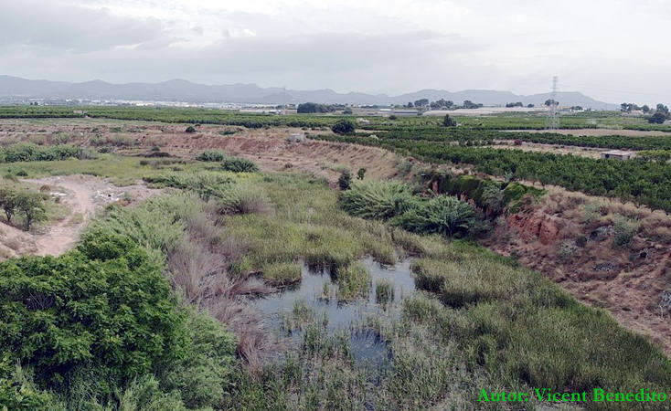 El IIAMA desarrolla un proyecto que propone renaturalizar el barranco del Carraixet mediante humedales artificiales