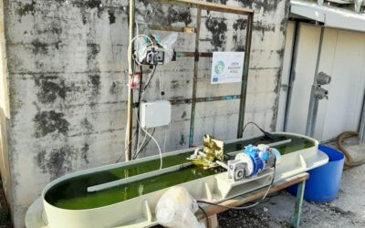 El IIAMA participa en un proyecto para impulsar la economía circular mediante una innovadora tecnología para el cultivo de microalgas