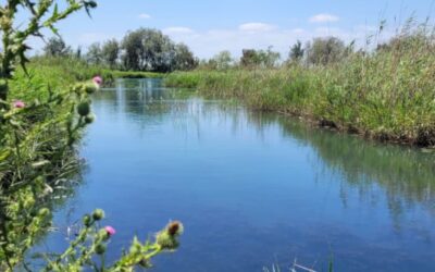 Una investigación del IIAMA propone medidas concretas para adaptar al cambio climático la gestión del agua en la Demarcación Hidrográfica del Júcar