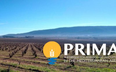 La gestión sostenible de las aguas subterráneas, a debate en un webinar sobre diferentes proyectos PRIMA