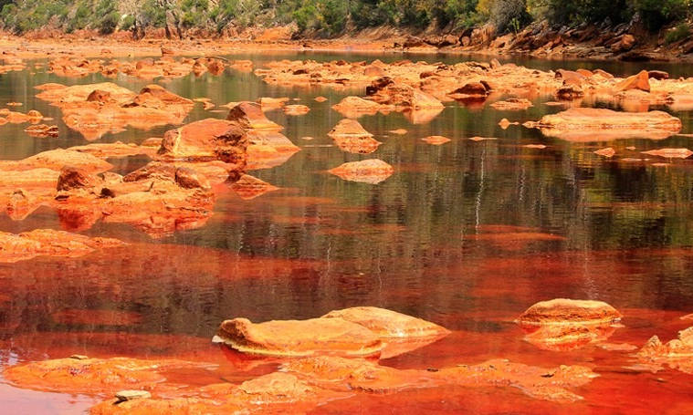 Un artículo de revisión apuesta por el uso de métodos biológicos para mitigar el impacto de los metales pesados