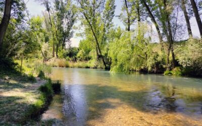 Una investigación del IIAMA desarrolla una herramienta para la gestión sostenible y holística de recursos hídricos en regiones mediterráneas