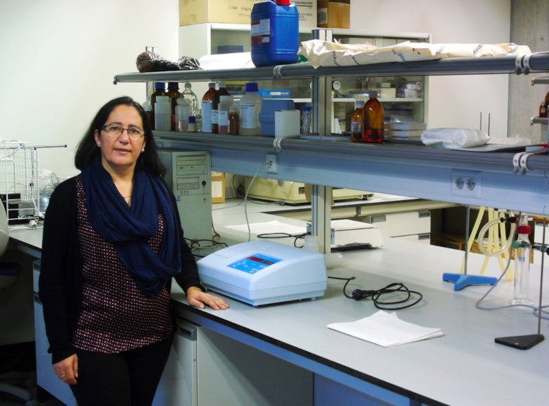 Inma Romero: “La creación de un Living-Lab de agua ayudará a prevenir los impactos del cambio climático sobre los recursos hídricos en la provincia de Castellón”