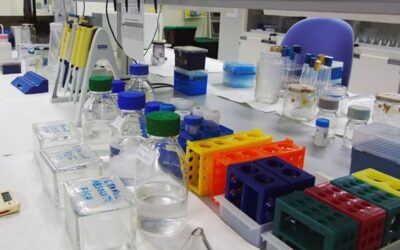 El IIAMA participa en un proyecto para monitorizar la presencia de antibióticos, genes resistentes y otros contaminantes en las aguas residuales de València