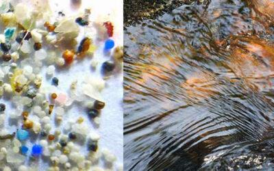 El proyecto PREVENPLAST mejora la capacidad de detección y eliminación de micro y nanoplásticos en la EDAR