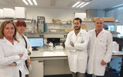El IIAMA participa en un proyecto para desarrollar un sistema para controlar la red de agua potable con sensores que detectan bacterias