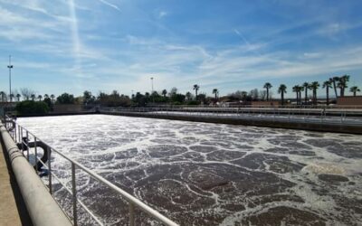 Una tesis doctoral evalúa experimentalmente diferentes alternativas de tratamiento para mejorar ambiental y económicamente el proceso de las EDAR