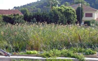 El IIAMA participa en un proyecto para mejorar la gestión de los residuos ganaderos mediante Soluciones basadas en la Naturaleza (SbN)