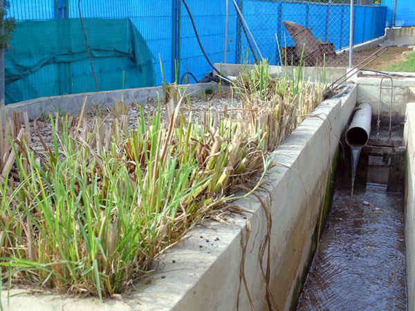 La EDAR de Los Monasterios reutiliza 100.000 litros diarios para el riego de jardines comunitarios y el ecosistema lagunar de las Fuentes