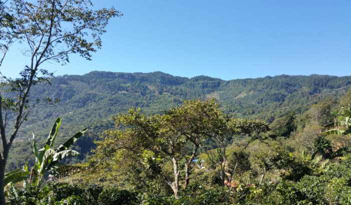 Reserva biológica Montecillos, La Paz Honduras