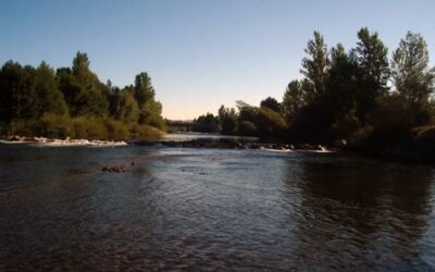 Un estudio del IIAMA determina que los caudales ecológicos tienen una incidencia directa sobre la calidad del agua para el suministro urbano