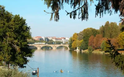 Un estudio del IIAMA demuestra el potencial de la información satelital para simular con mayor precisión el impacto del riego en el ciclo del agua