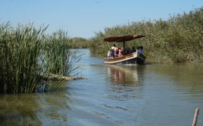 El IIAMA participa en un proyecto internacional para impulsar soluciones basadas en la naturaleza en la lucha contra el cambio climático