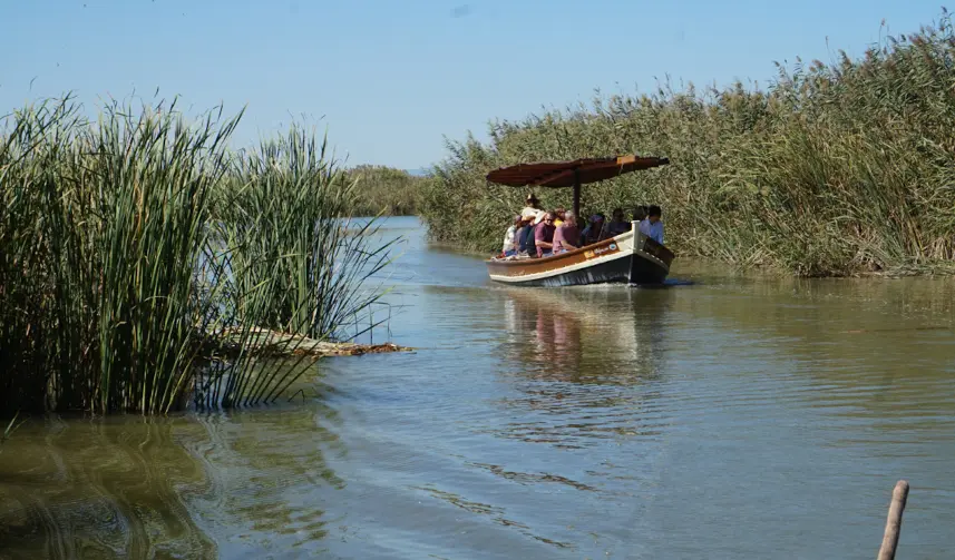 El IIAMA participa en un proyecto internacional para impulsar soluciones basadas en la naturaleza en la lucha contra el cambio climático