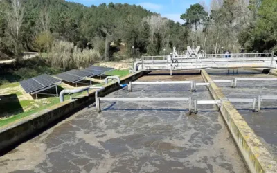 Investigadores del IIAMA-UPV desarrollan una metodología para evaluar los riesgos sanitarios del agua regenerada con microalgas