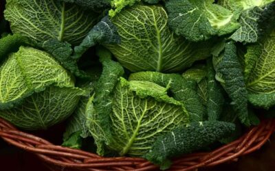Un estudio del IIAMA subraya la importancia de controlar la seguridad alimentaria de frutas y verduras orgánicas