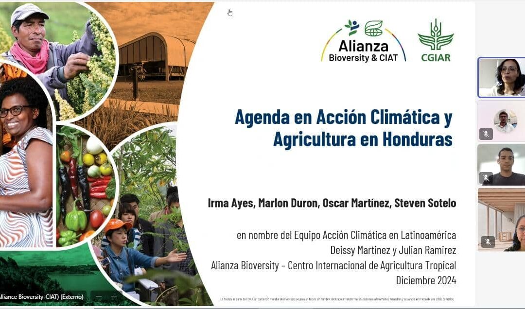 Investigadores del IIAMA-UPV y la Alianza Internacional Biodiversity-CIAT exploran colaboraciones estratégicas en predicción climática y gestión del agua