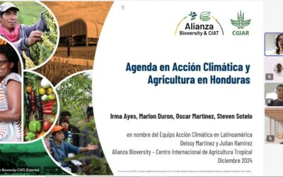 Investigadores del IIAMA-UPV y la Alianza Internacional Biodiversity-CIAT exploran colaboraciones estratégicas en predicción climática y gestión del agua