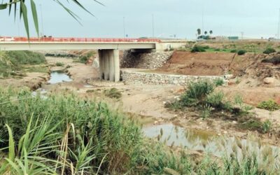 Un estudio del IIAMA revela que los primeros desbordamientos en Paiporta durante la DANA de 2024 se debieron a las aportaciones de los barrancos de La Horteta y El Gallego