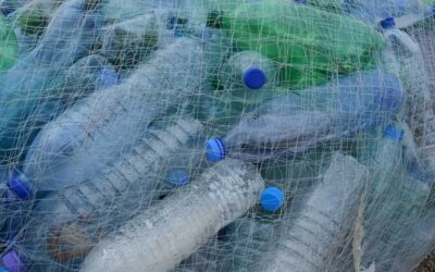 Un proyecto permitirá convertir los residuos plásticos biodegradables en energía verde