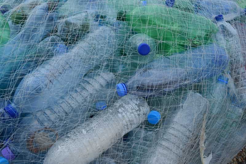 Un proyecto permitirá convertir los residuos plásticos biodegradables en energía verde