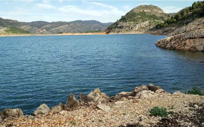 El IIAMA lidera un proyecto de investigación para determinar los factores que favorecen la aparición de compuestos que dan sabor y olor al agua